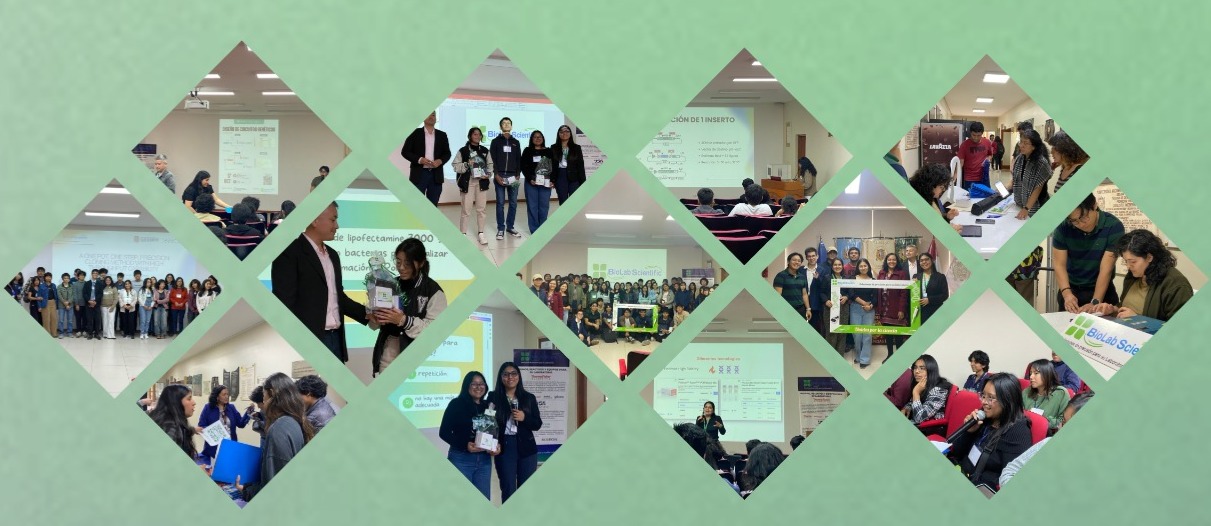 Estudiantes de biología en laboratorio colaborando